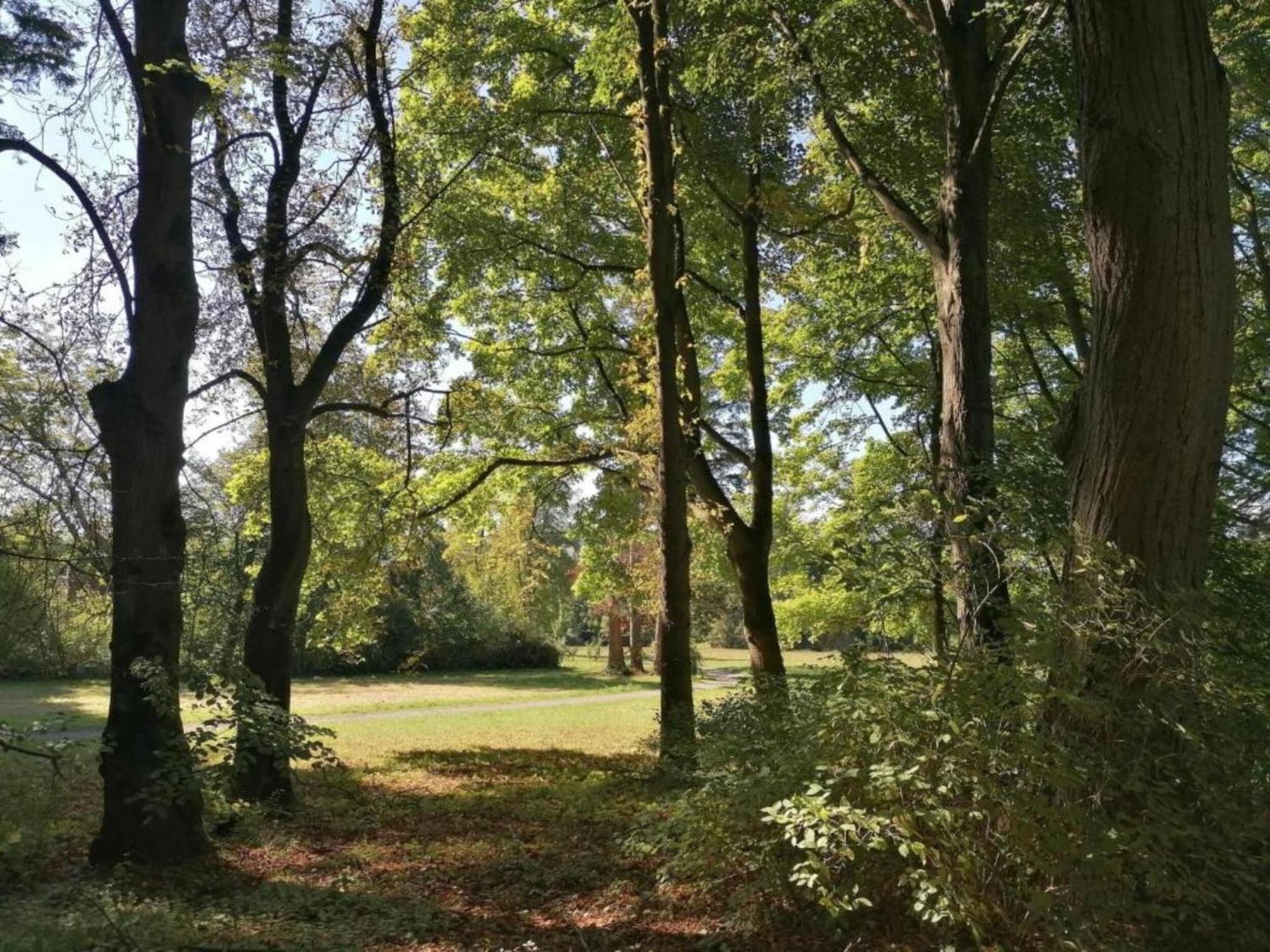 Spacious Apartment In Weser Uplands With Garden Bad Pyrmont Eksteriør bilde