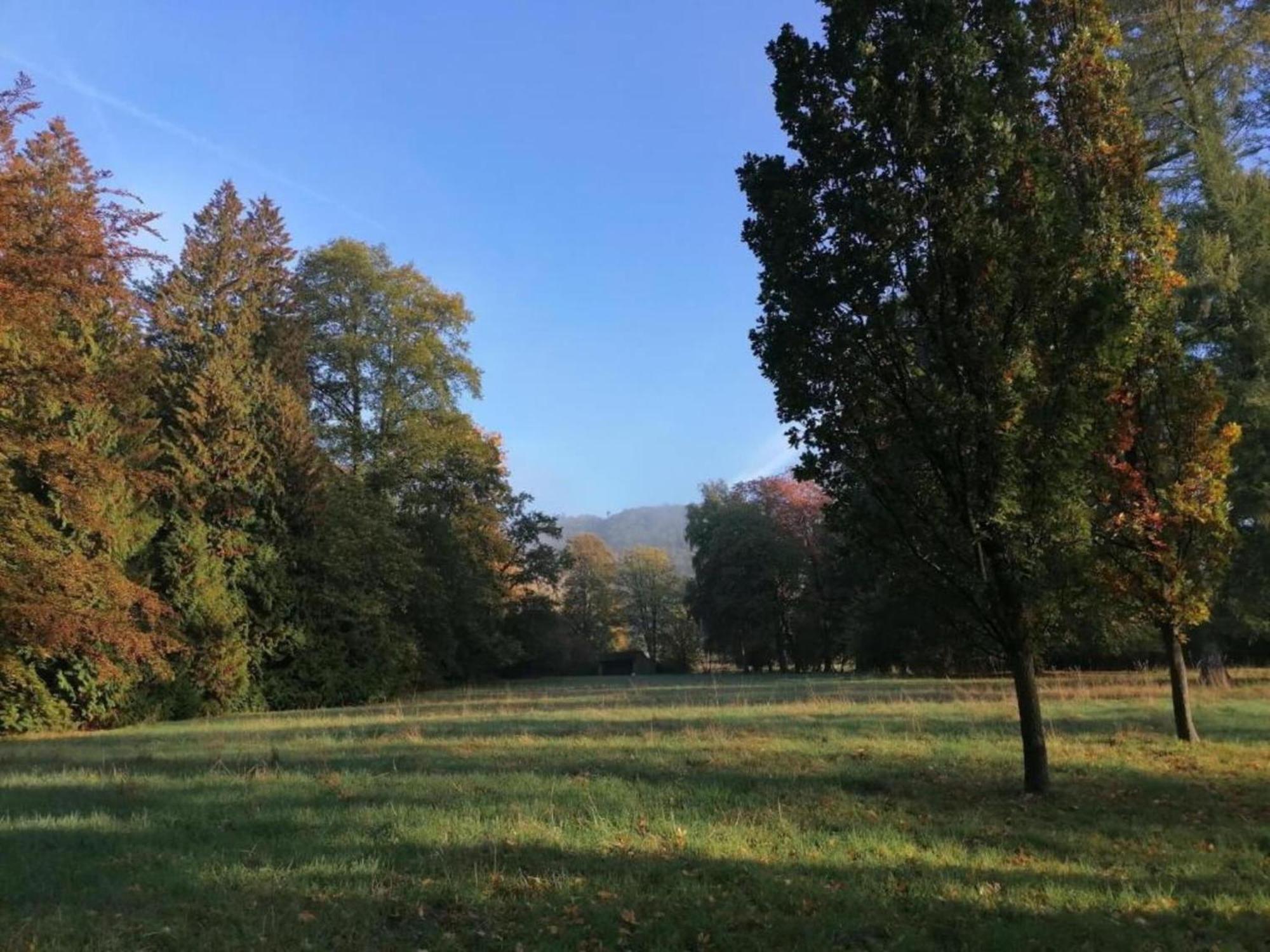 Spacious Apartment In Weser Uplands With Garden Bad Pyrmont Eksteriør bilde