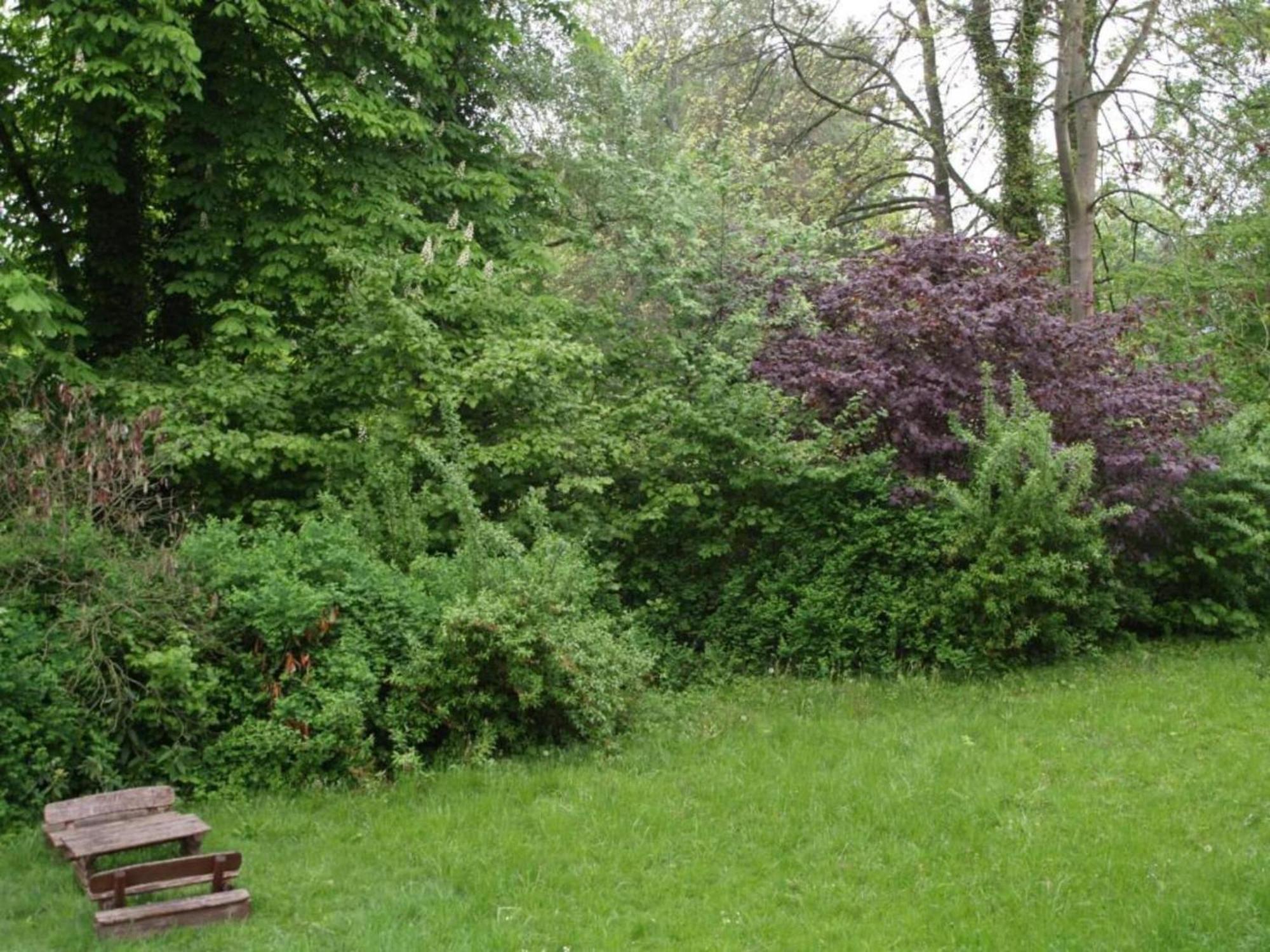 Spacious Apartment In Weser Uplands With Garden Bad Pyrmont Eksteriør bilde
